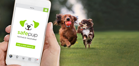 SafePup Website